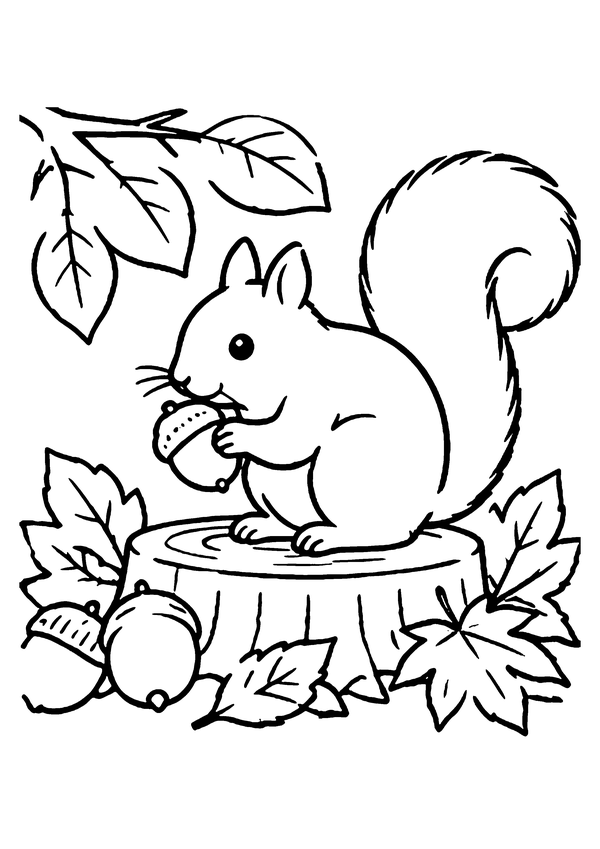 リスとどんぐりの塗り絵プリント